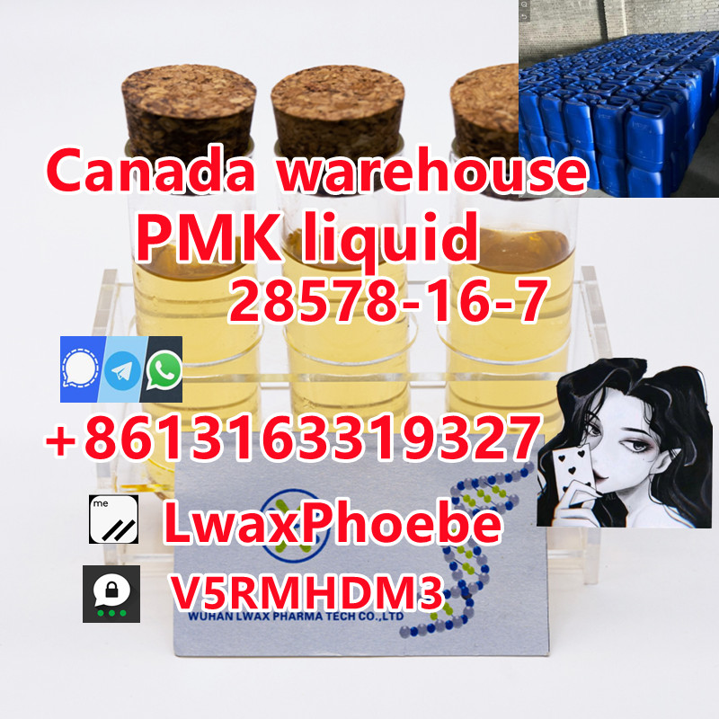 Cas 28578-16-7 pmk ethyl glycidate pmk oil easy to convert powder